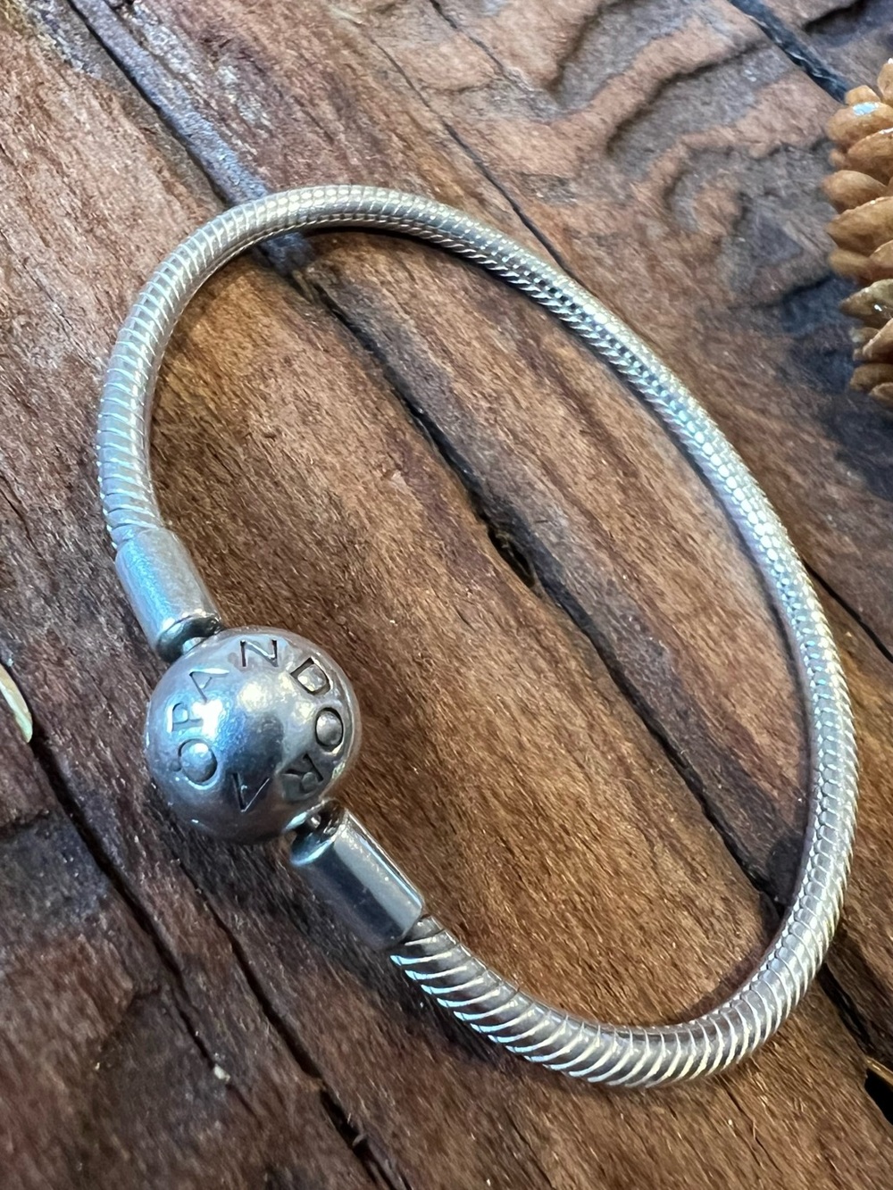 Pandora Silver Snake Chain Bracelet with Branded Clasp